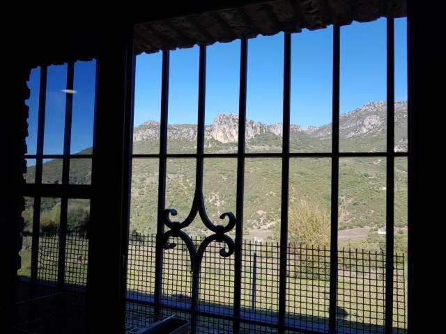 Vivienda Rural Casa Sofia Villa Ubrique Esterno foto