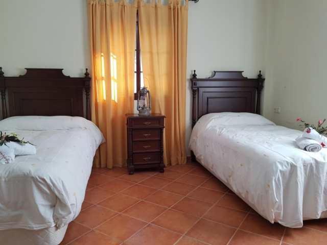 Vivienda Rural Casa Sofia Villa Ubrique Esterno foto